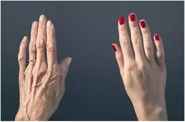 Ky开元集团寿命